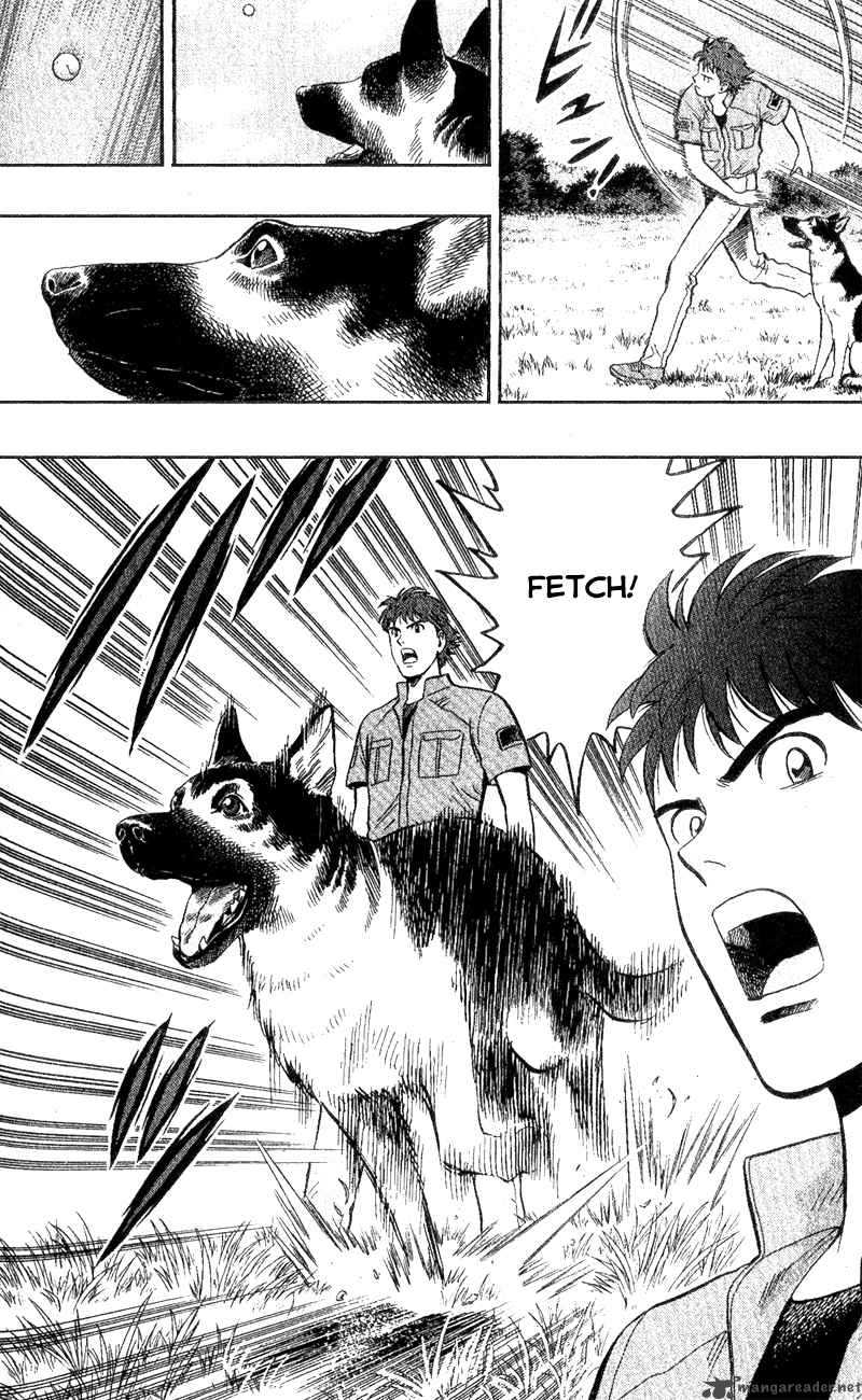 Animal Sense 3 34