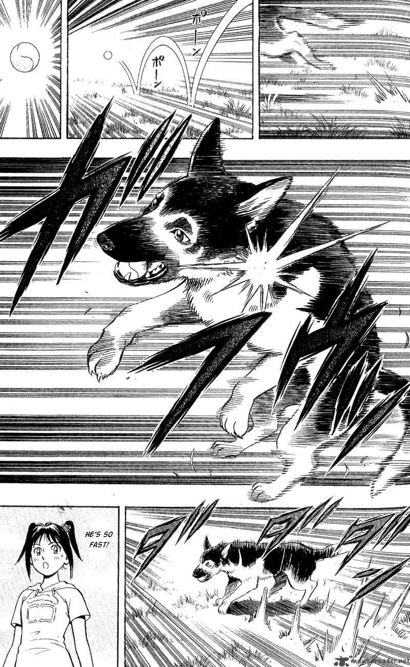 Animal Sense 3 35