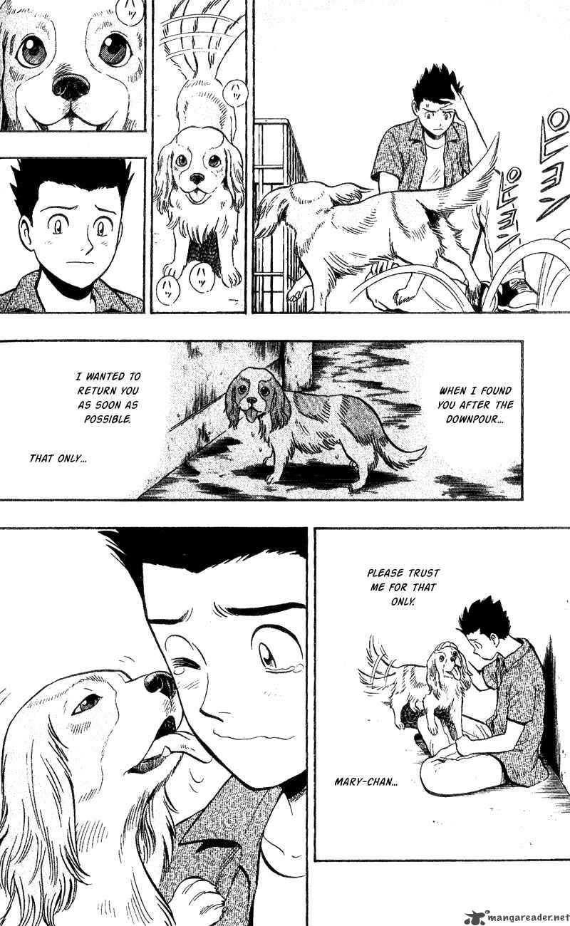 Animal Sense 4 10