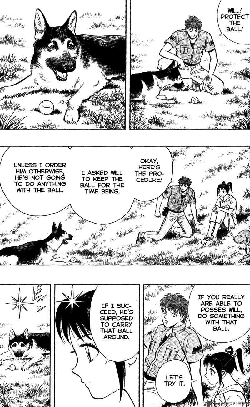 Animal Sense 4 13