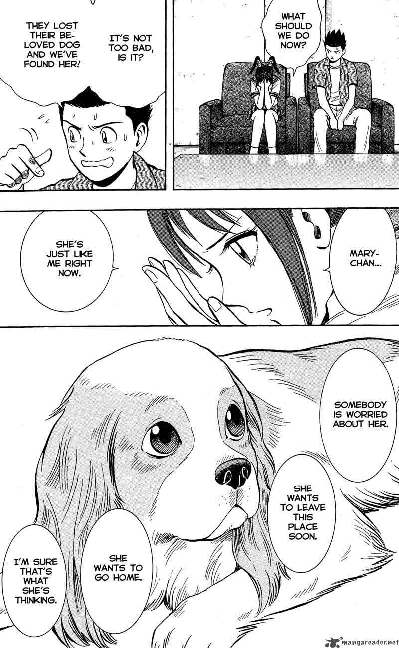 Animal Sense 5 19