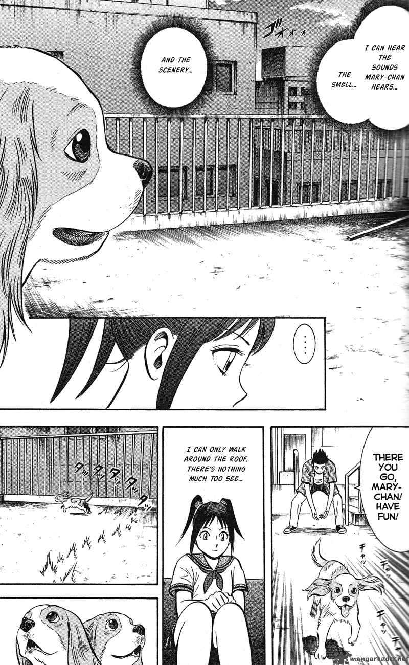 Animal Sense 5 22