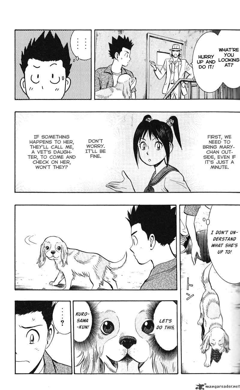 Animal Sense 5 32
