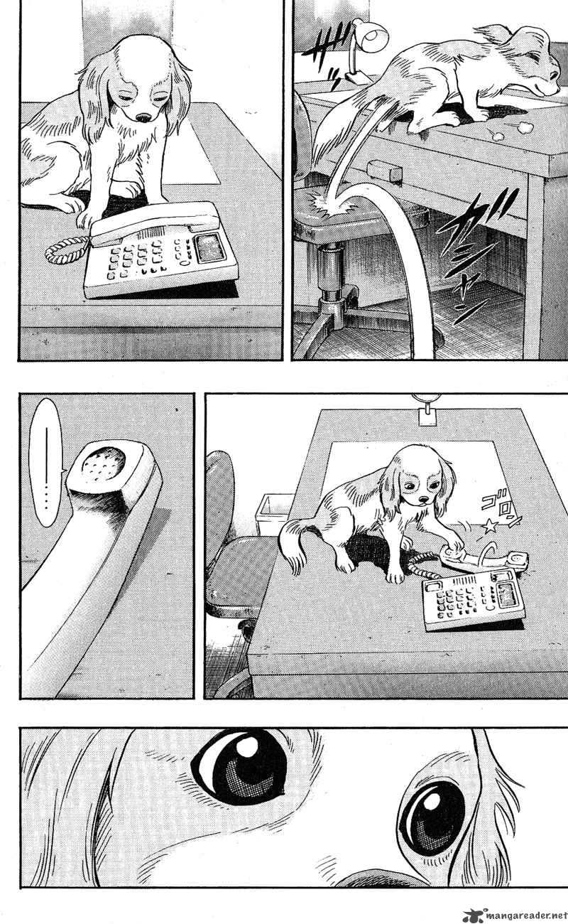 Animal Sense 7 18