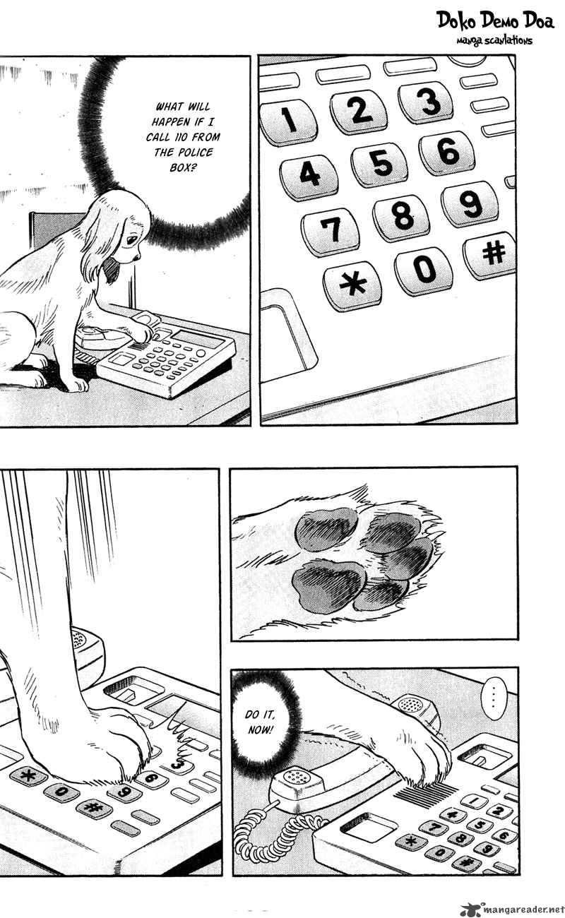 Animal Sense 7 19