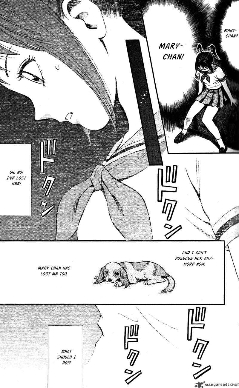 Animal Sense 7 28