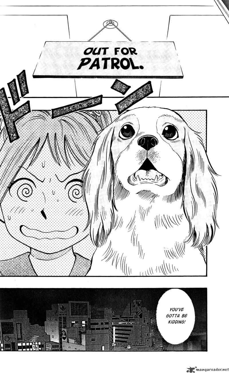 Animal Sense 7 9