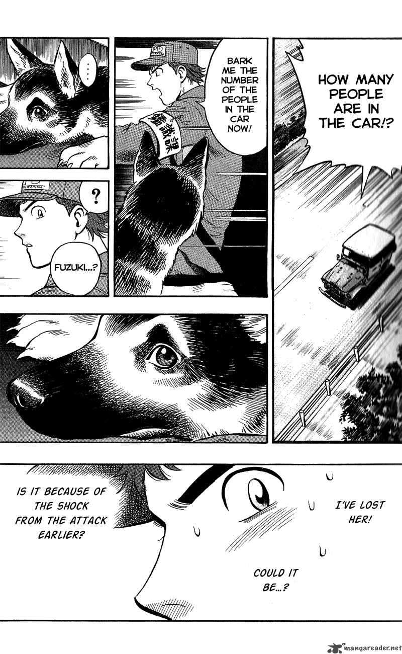 Animal Sense 9 16
