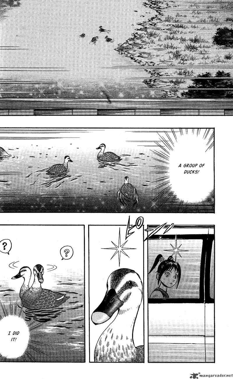Animal Sense 9 23