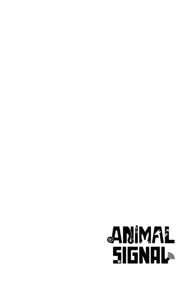 Animal Signal 1 4