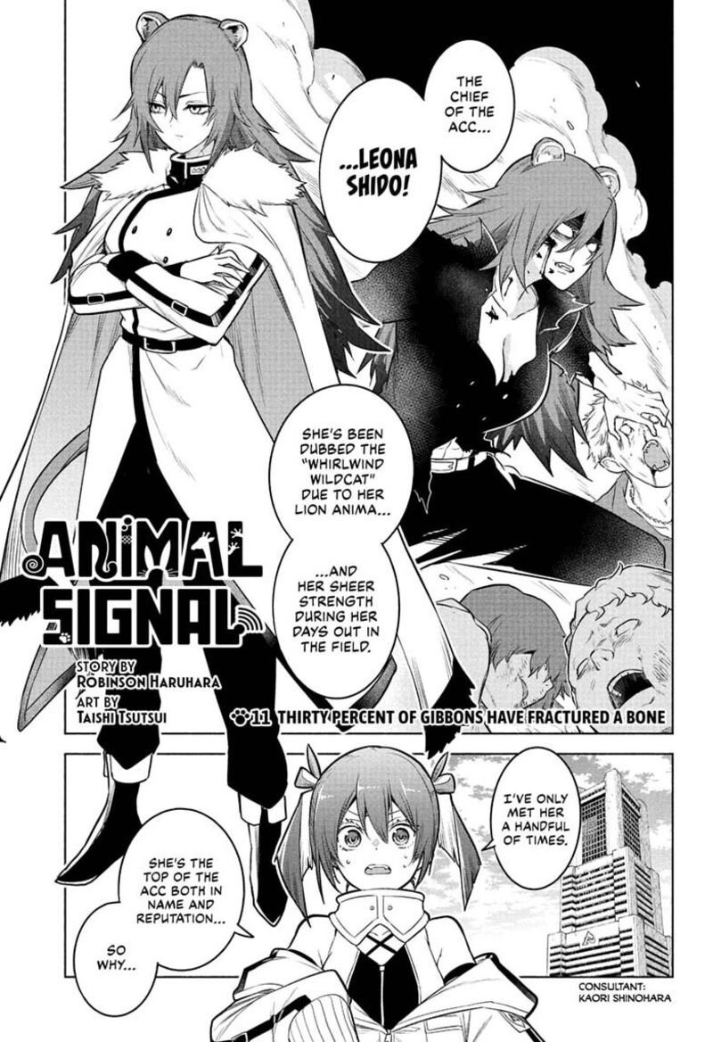 Animal Signal 11 1