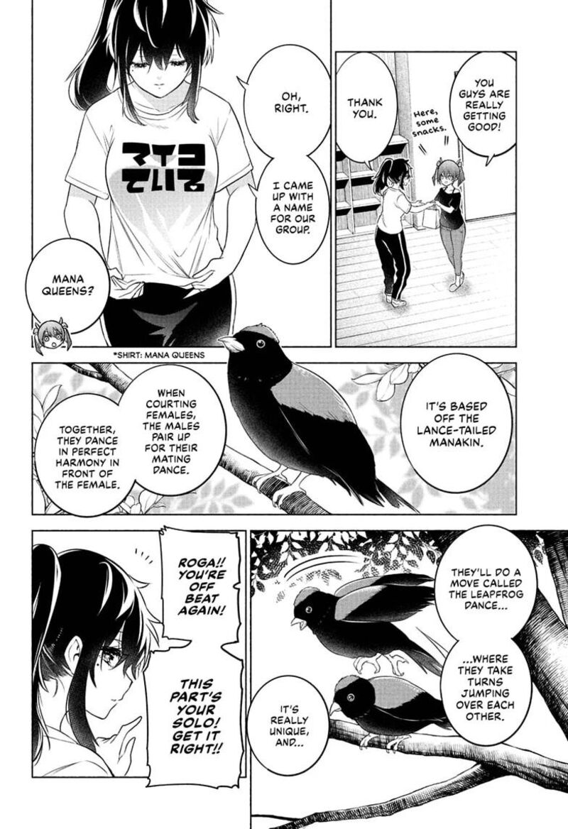 Animal Signal 16 6