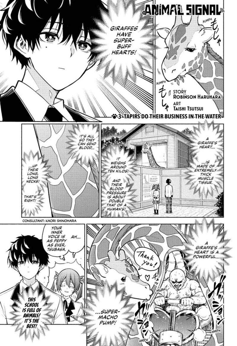 Animal Signal 3 1