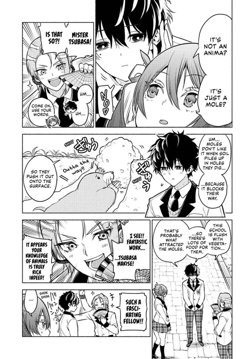 Animal Signal 3 7