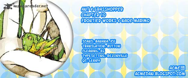 Ant And Grasshopper Assortment 10 2
