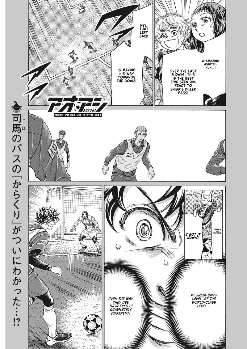 Ao Ashi 302 1