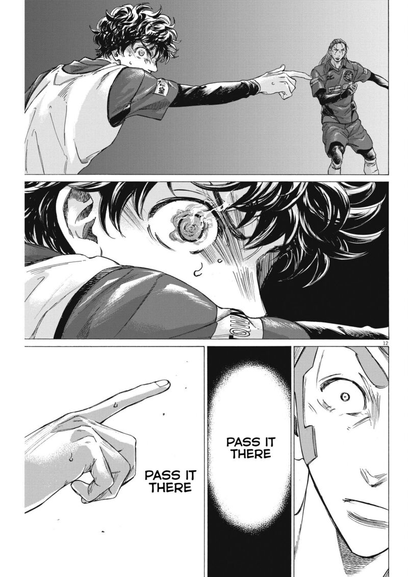 Ao Ashi 305 12