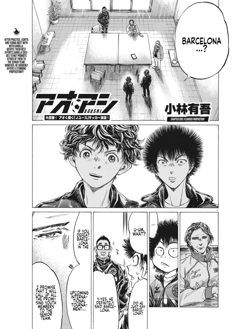 Ao Ashi 309 1