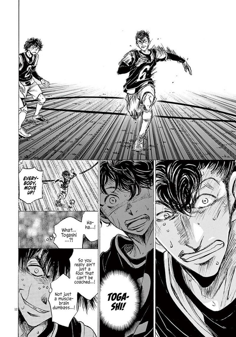 Ao Ashi 33 12