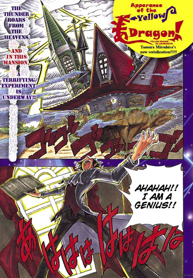 Appearance Of The Yellow Dragon 1 1