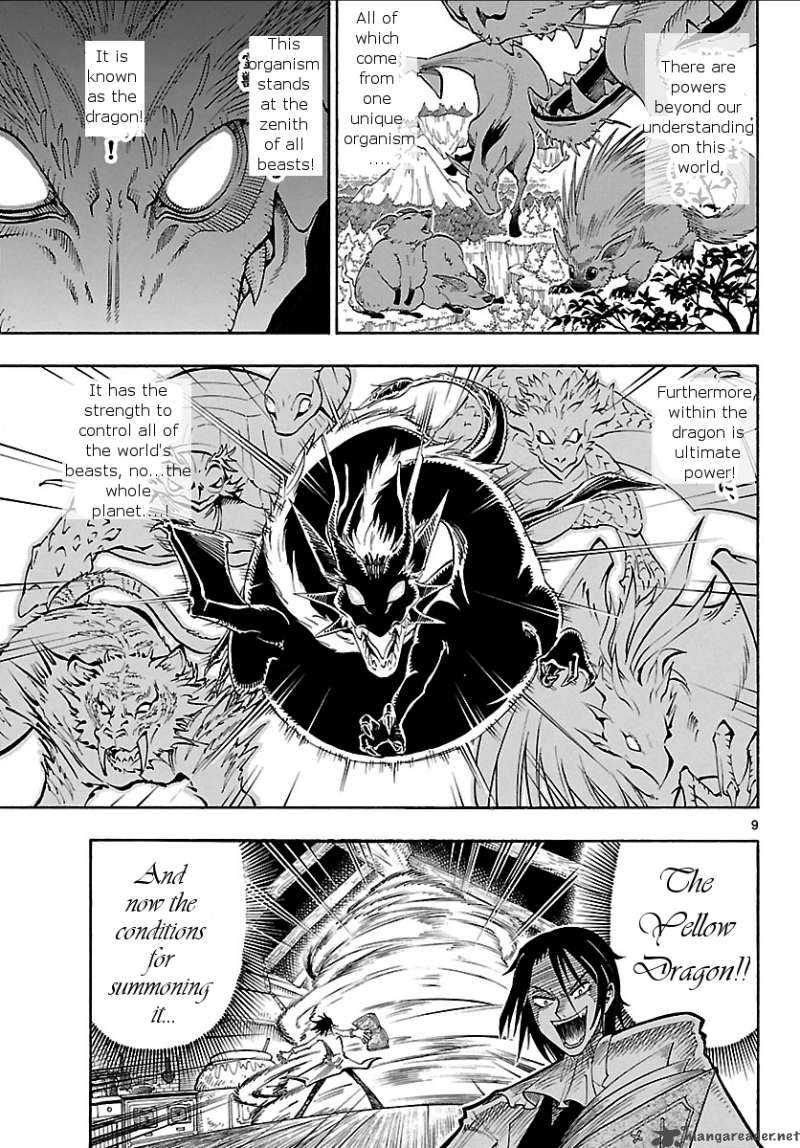Appearance Of The Yellow Dragon 1 7