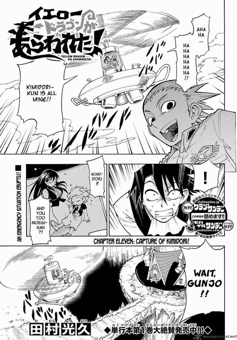 Appearance Of The Yellow Dragon 11 2
