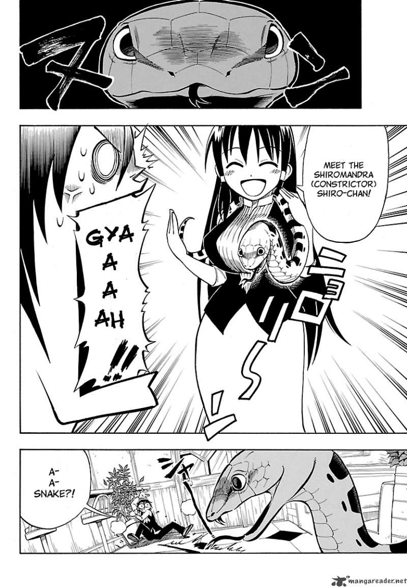 Appearance Of The Yellow Dragon 5 6