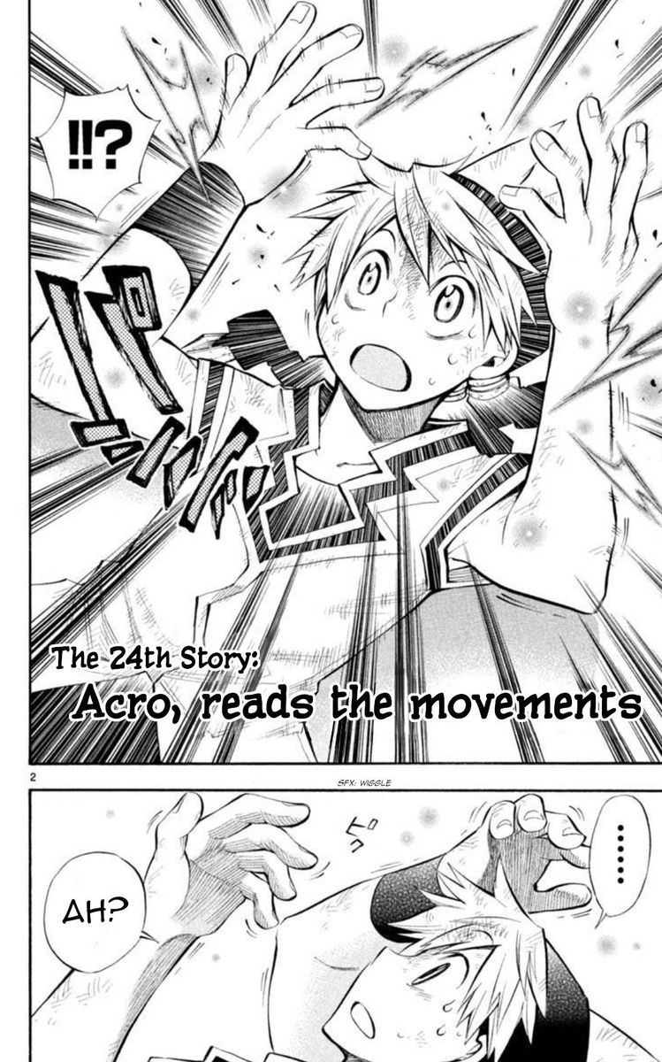 Artist Acro 24 2