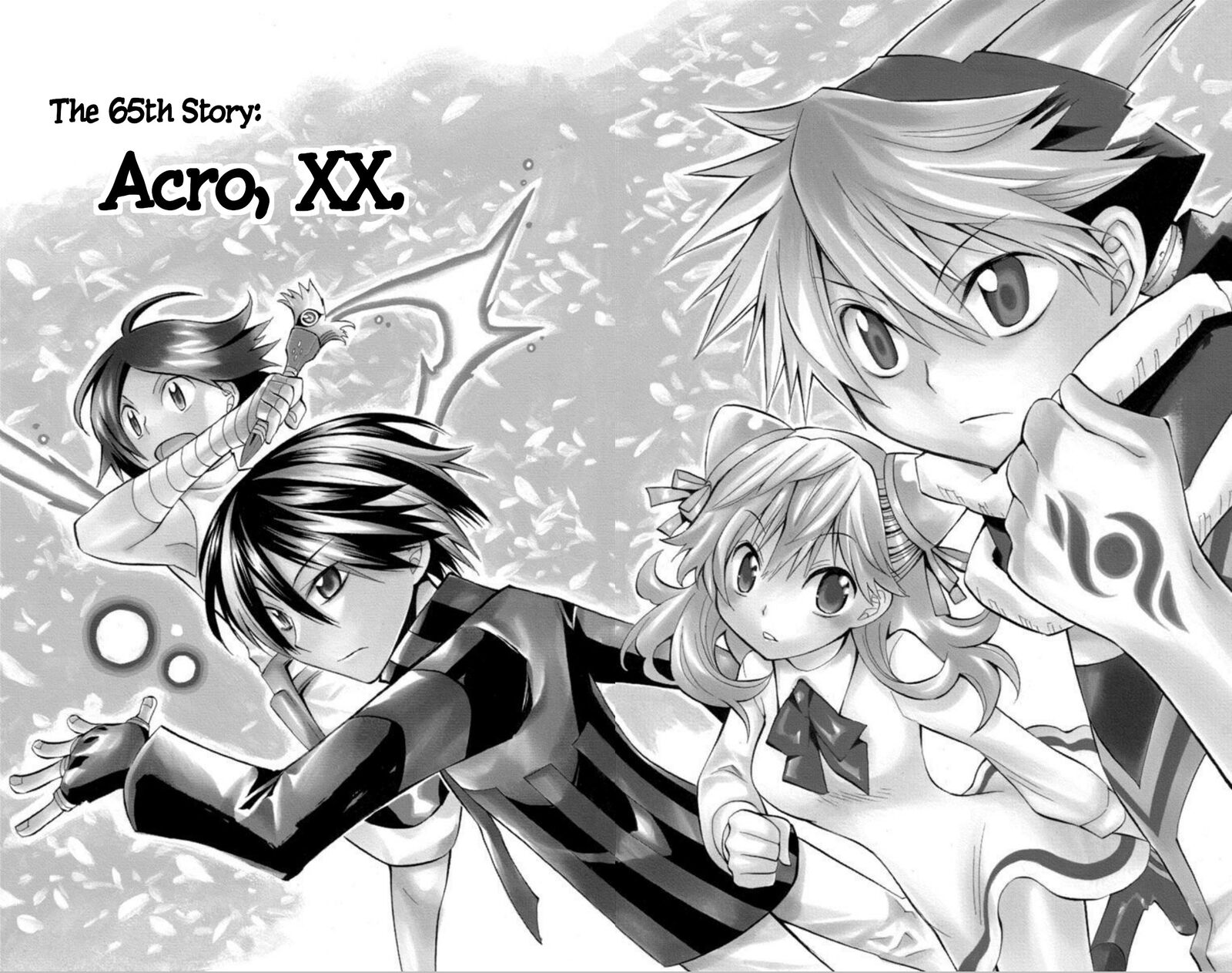 Artist Acro 65 2