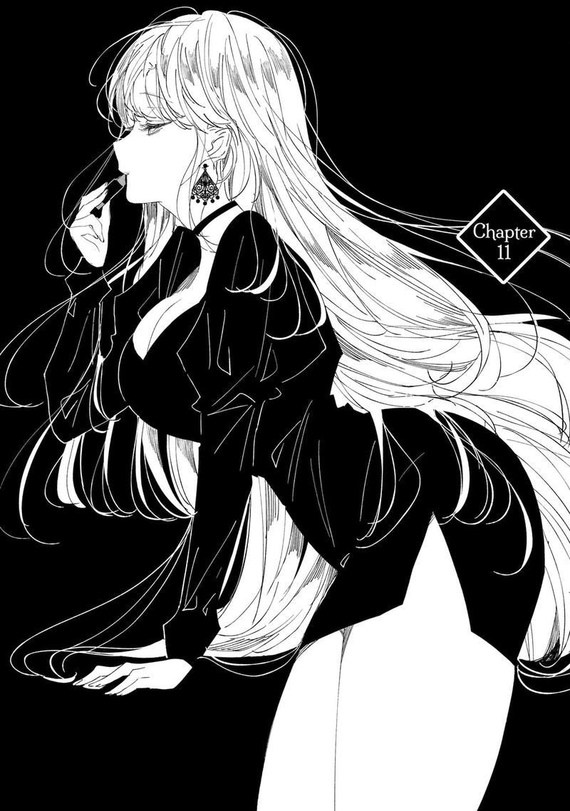 Assassin Cinderella 11 5