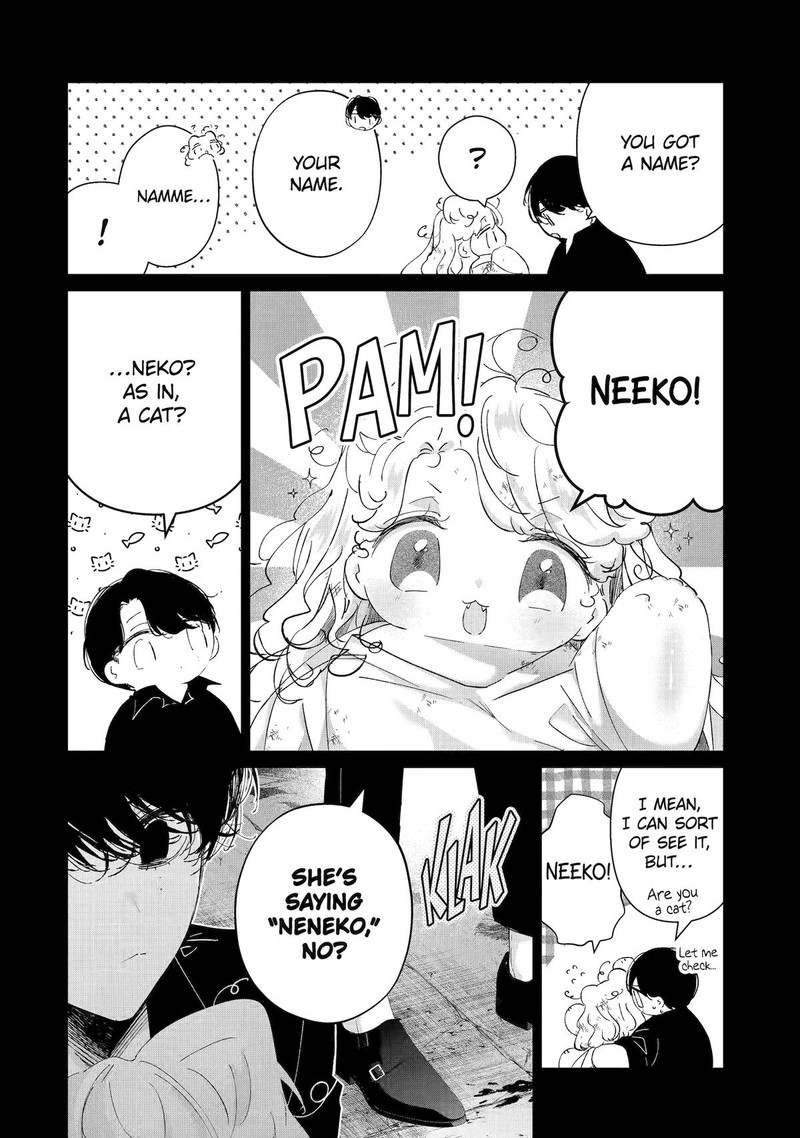 Assassin Cinderella 13 18