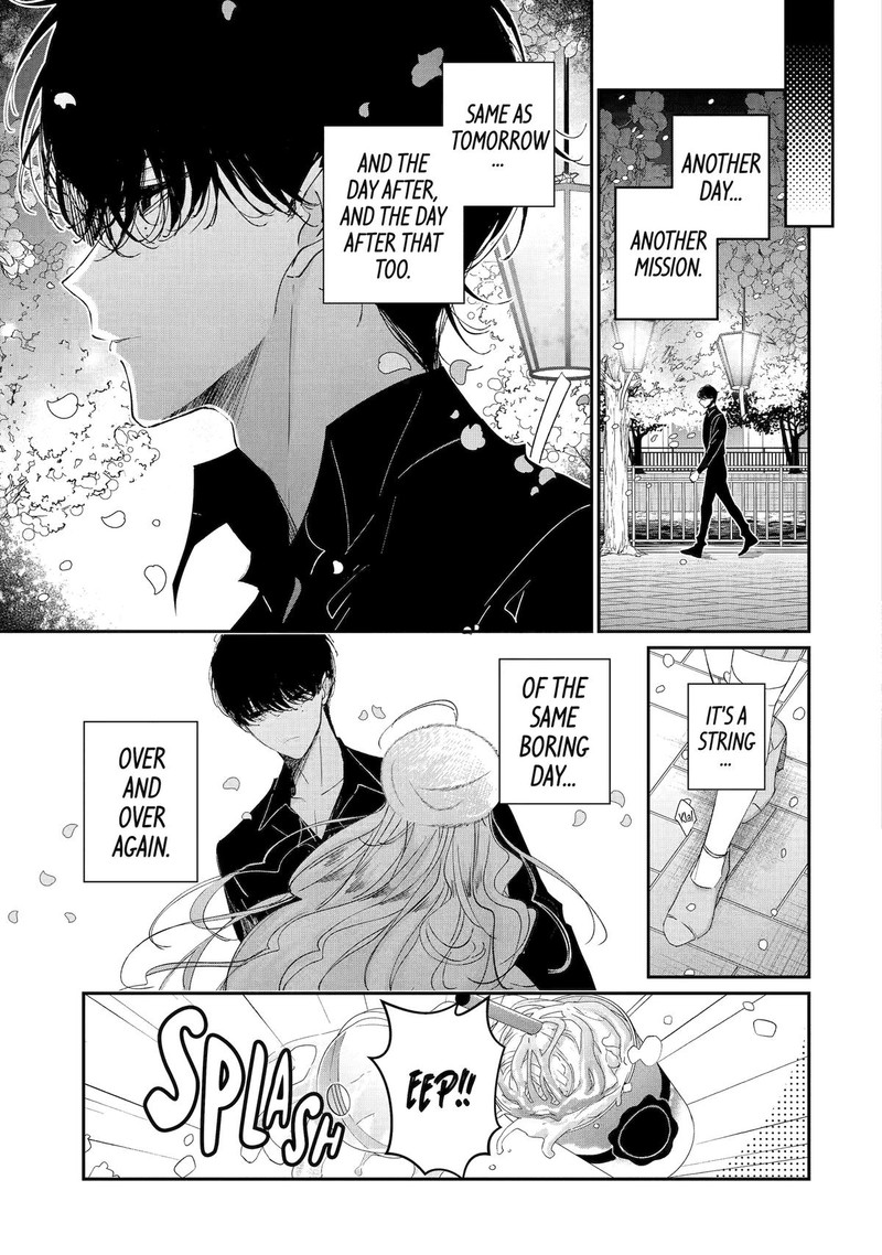 Assassin Cinderella 13 3