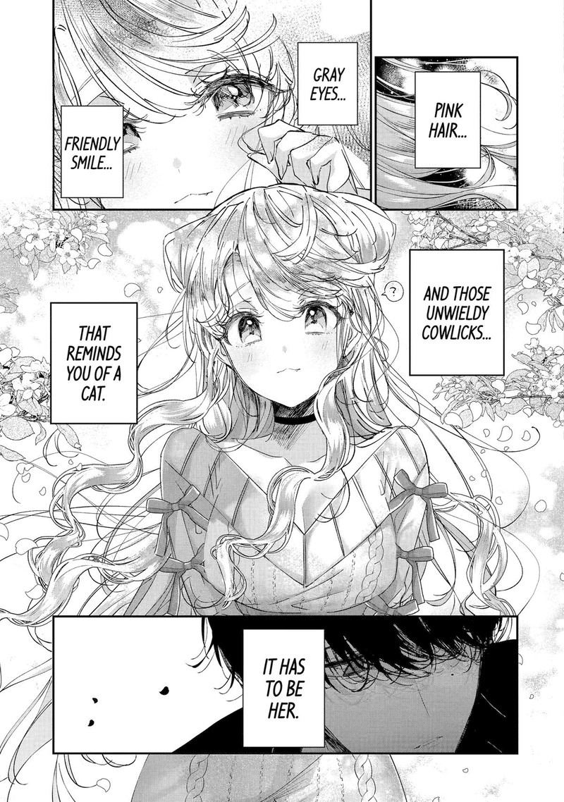 Assassin Cinderella 13 7