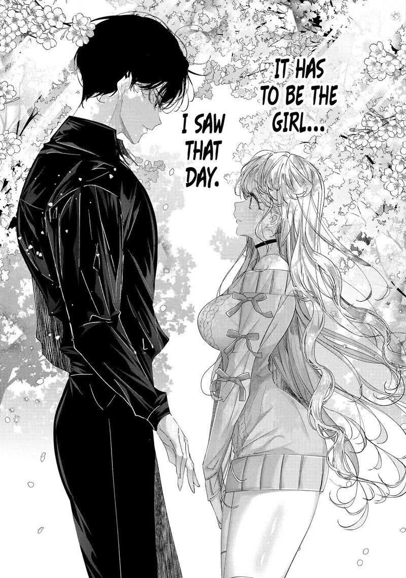 Assassin Cinderella 13 9