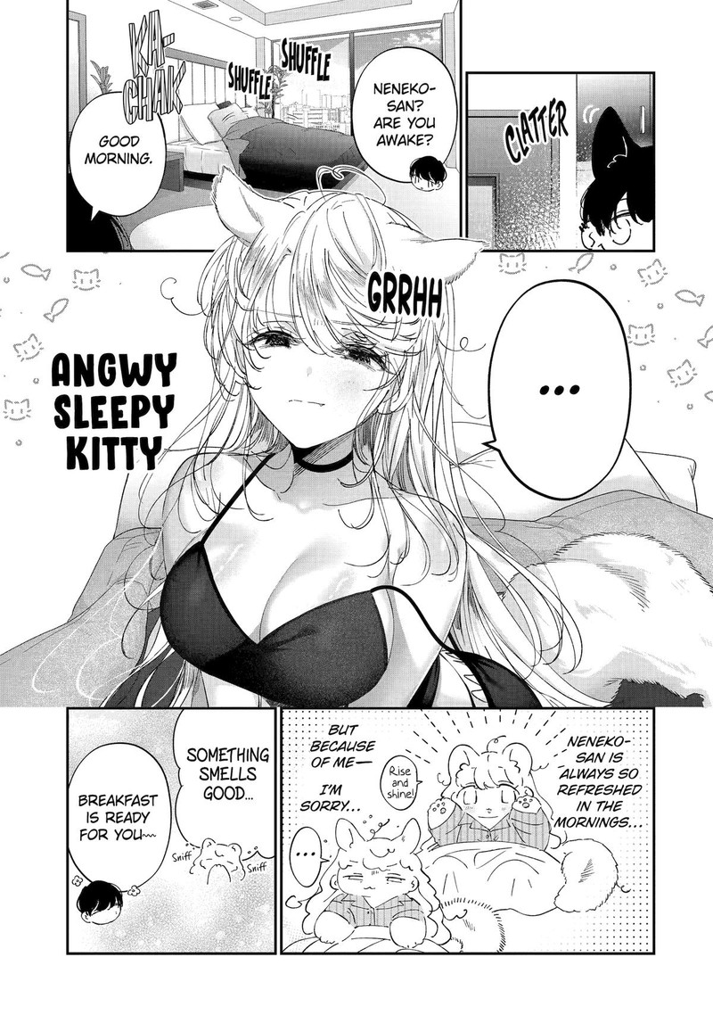 Assassin Cinderella 15 11