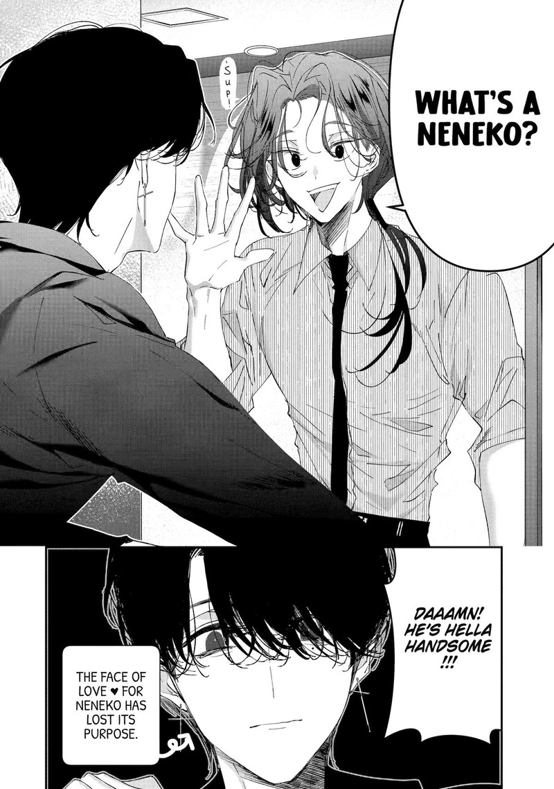 Assassin Cinderella 15 36