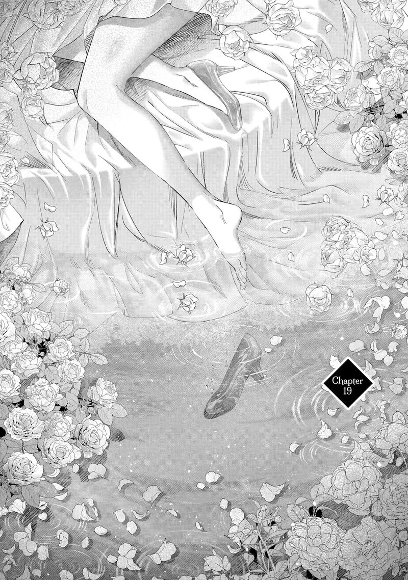 Assassin Cinderella 19a 1