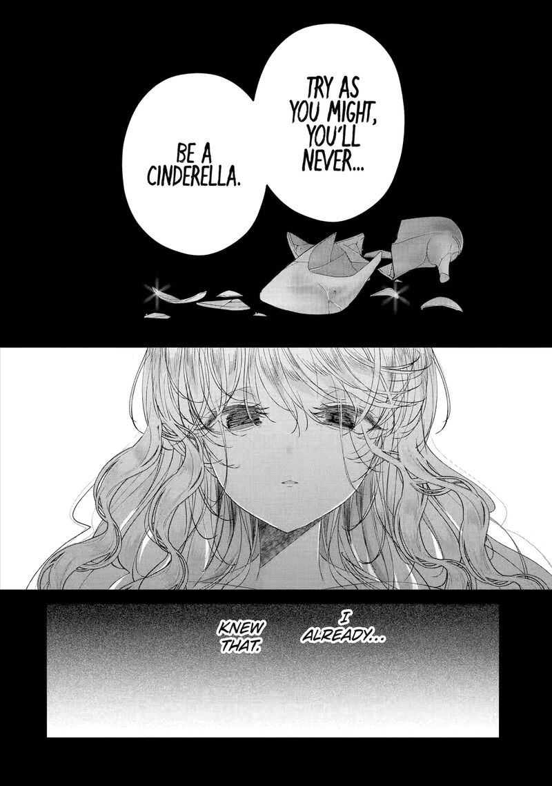 Assassin Cinderella 19d 6