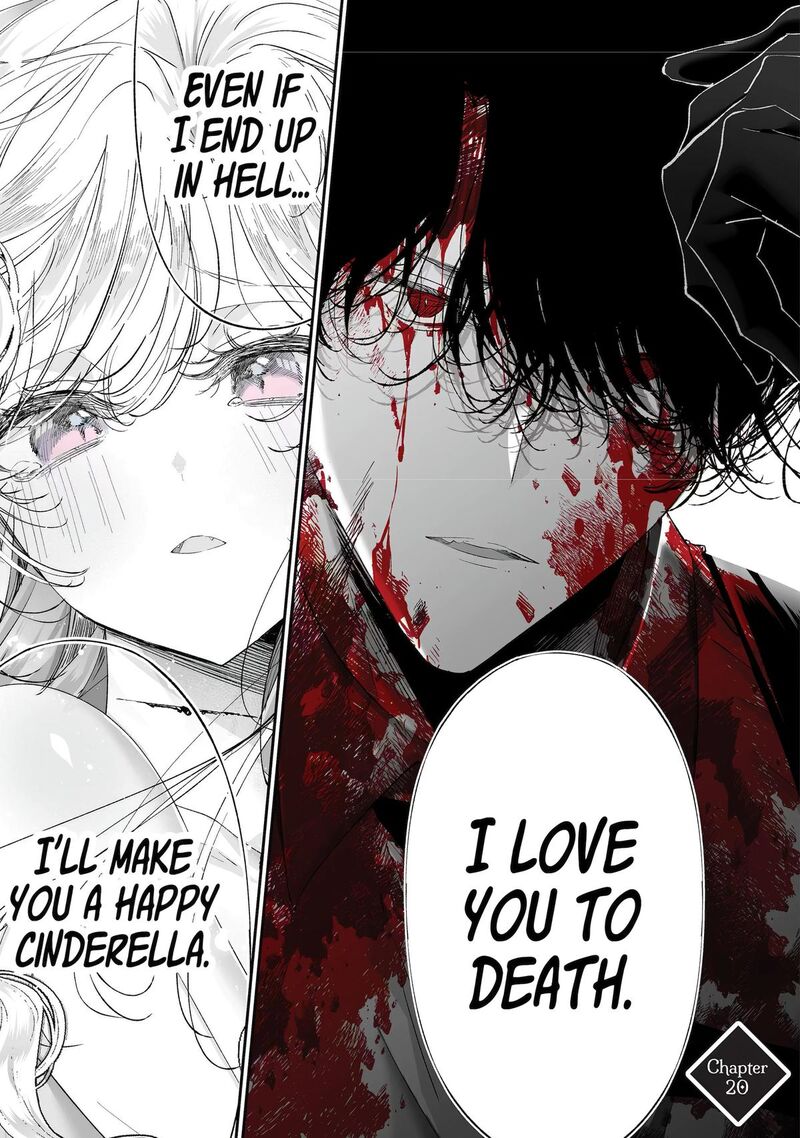 Assassin Cinderella 20 1