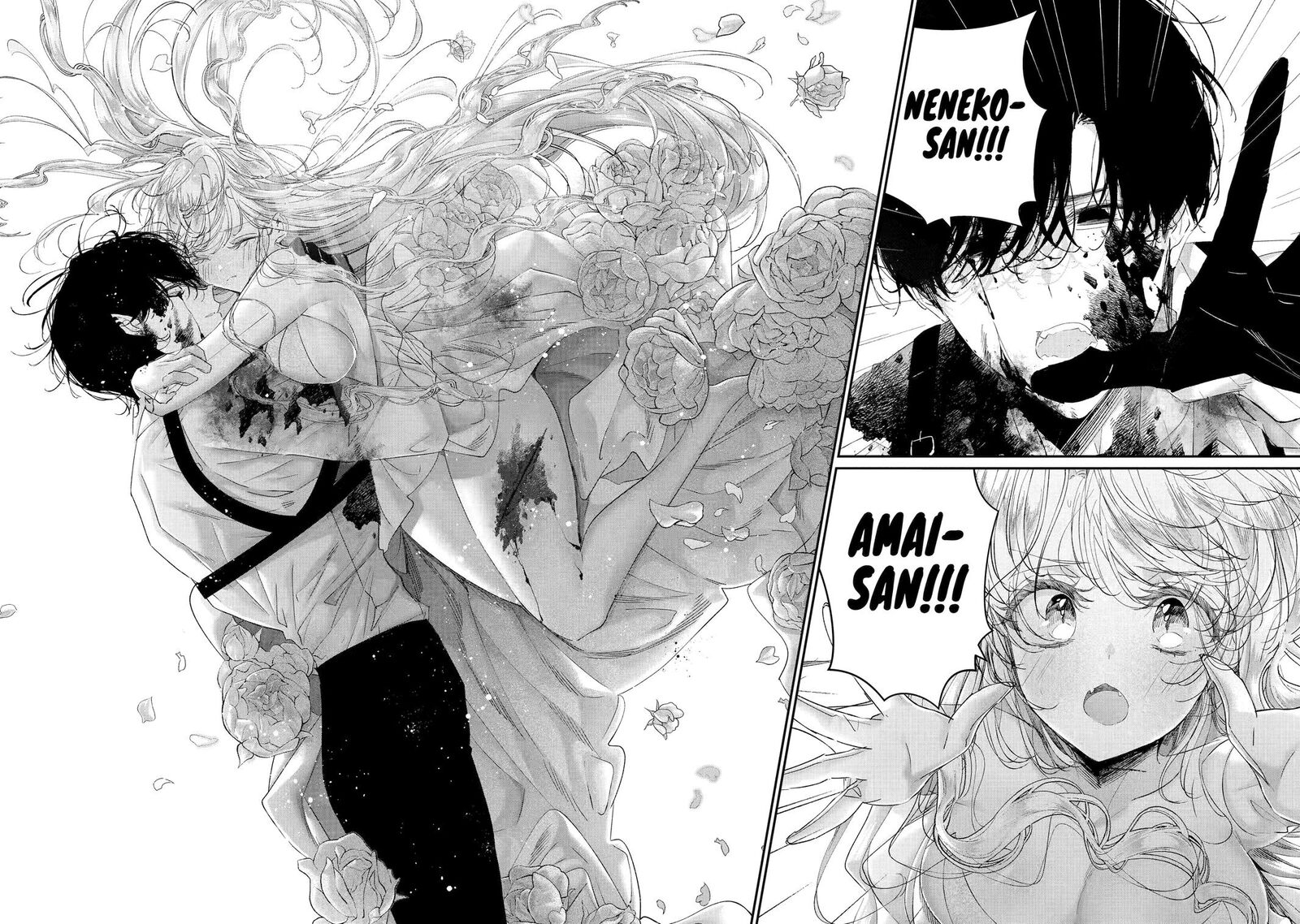 Assassin Cinderella 20 18