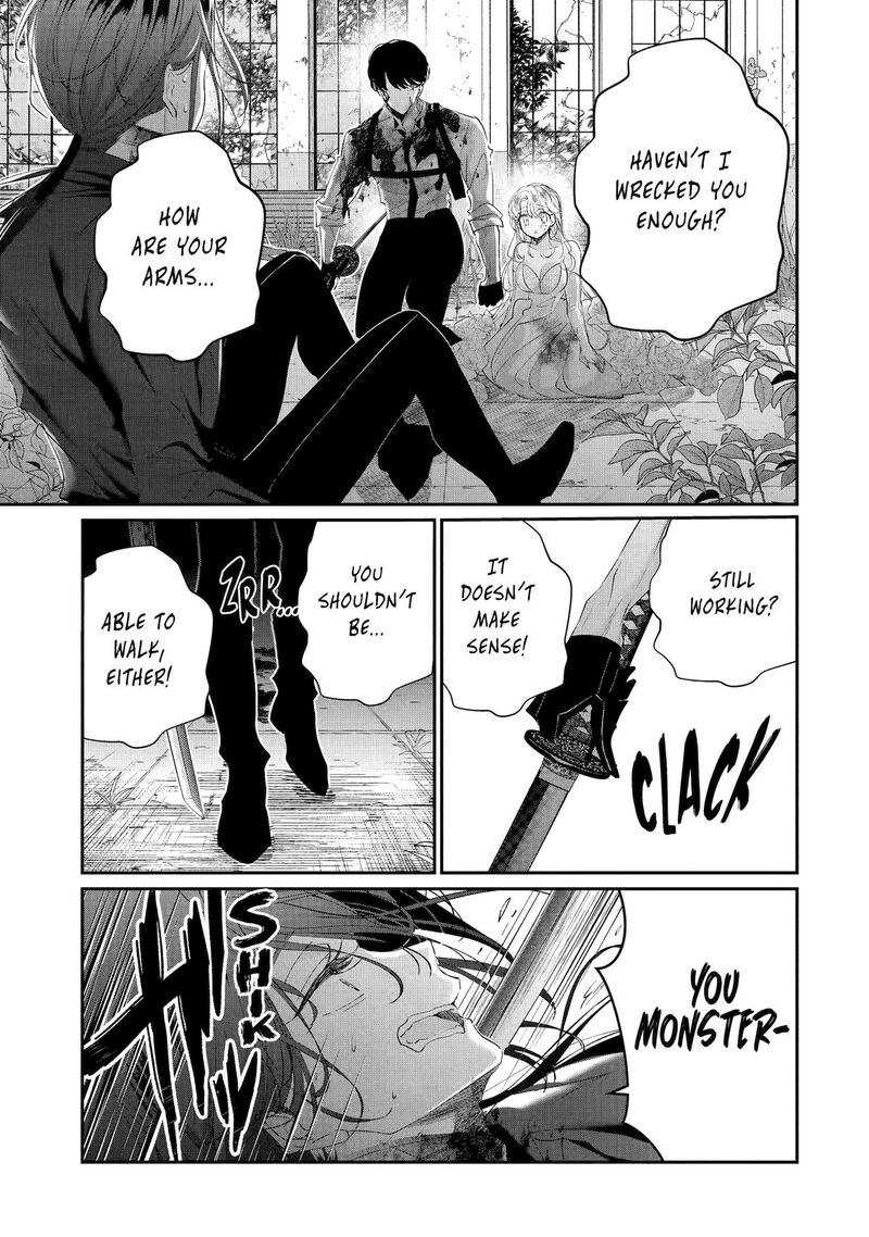 Assassin Cinderella 20 30