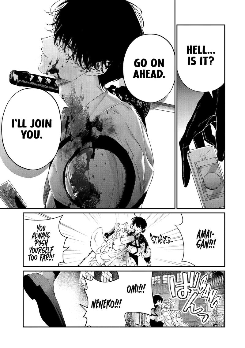 Assassin Cinderella 20 36