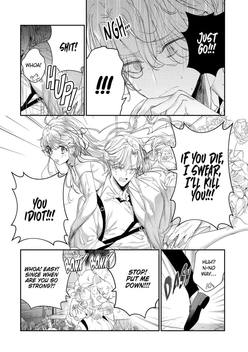 Assassin Cinderella 20 41