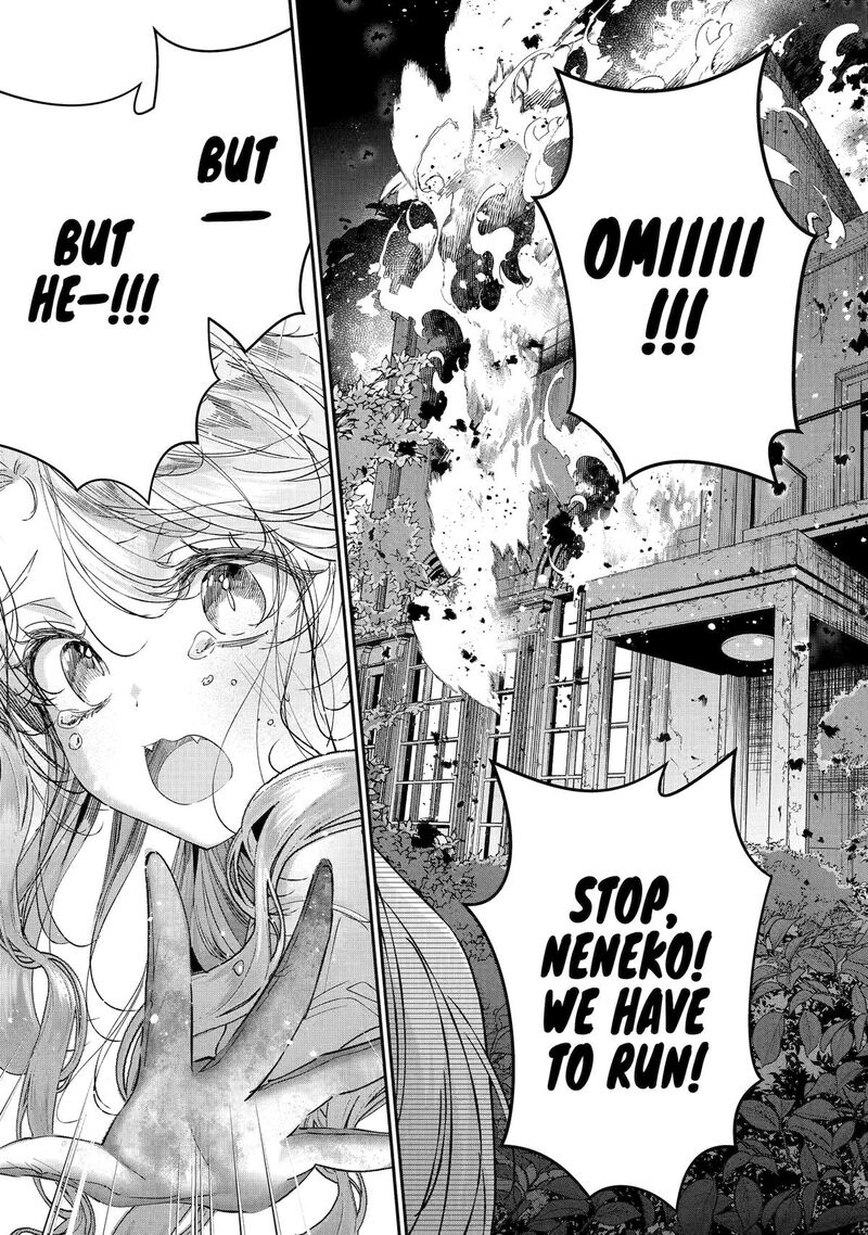 Assassin Cinderella 20 50