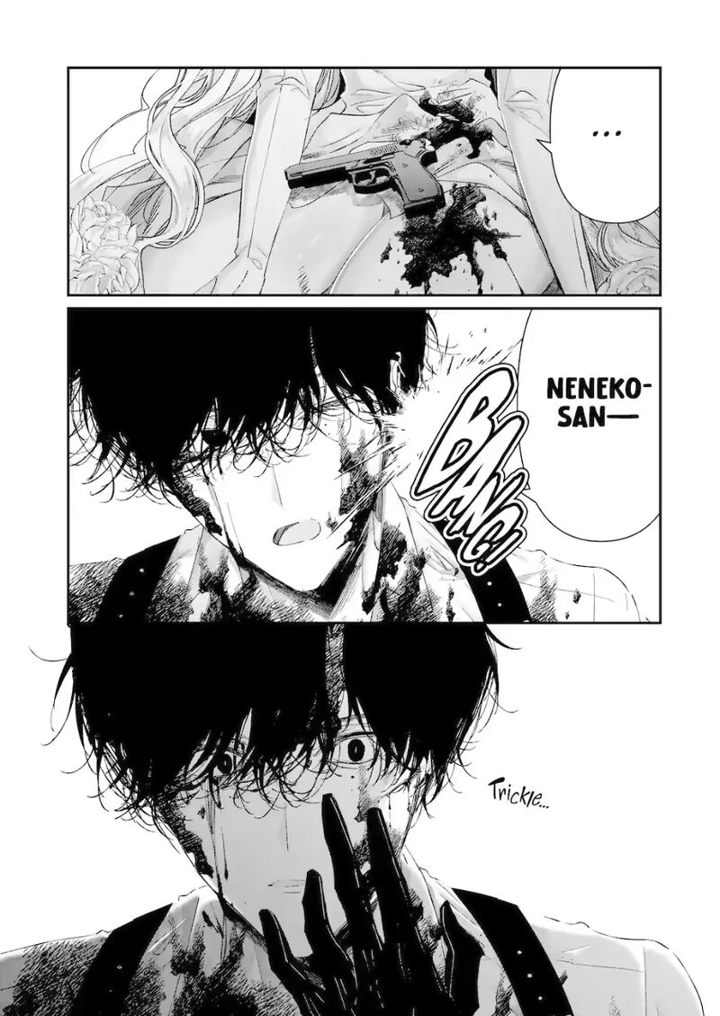 Assassin Cinderella 20b 1