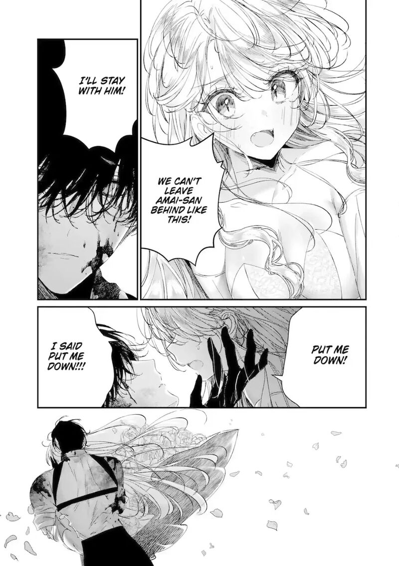 Assassin Cinderella 20e 3