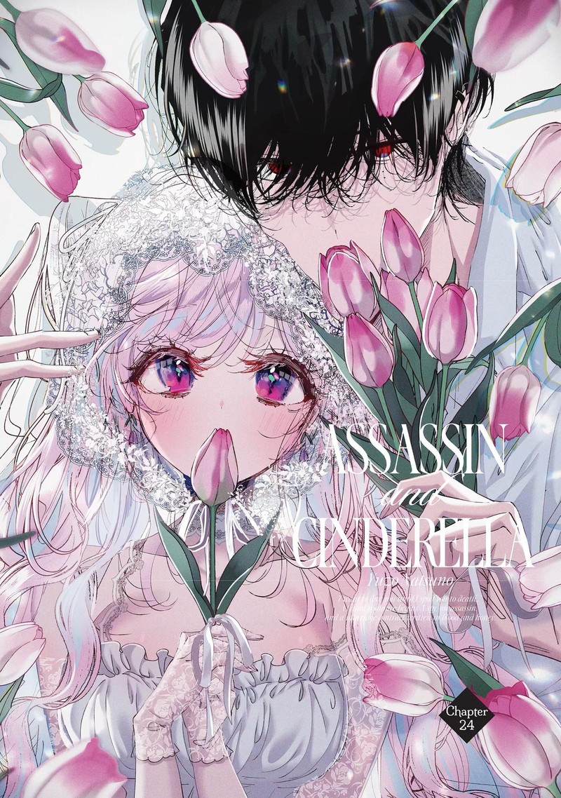 Assassin Cinderella 24 1