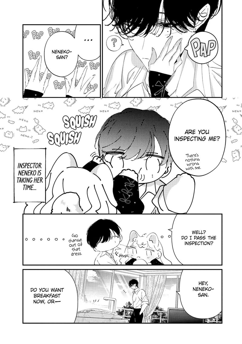 Assassin Cinderella 24 5