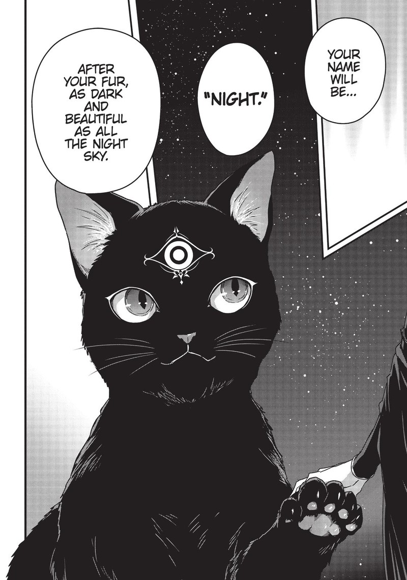 Assassin De Aru Ore No Sutetasu Ga Yuusha Yori Mo Akiraka Ni Tsuyoi Nodaga 11 25