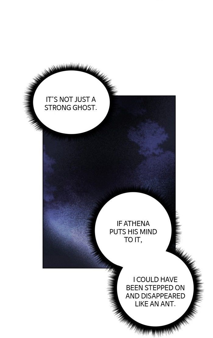 Athena Complex 40 28